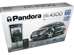 Упаковка Pandora DXL 4300