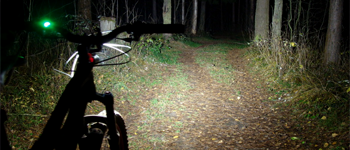 велосипедная фара в лесу