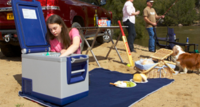 автохолодильник ARB Freezer Fridge на пикнике